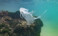 Countries have been negotiating a global treaty to address a torrent of plastic entering the environment, including the oceans.