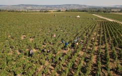 More than 50 migrant harvesters lived in accommodation that posed a danger to their 'security, health and dignity', according to investigators