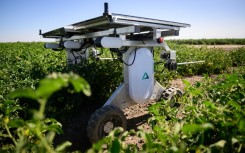 Aigen's solar-powered autonomous robots aim to take the chemicals and toil out of industrial weeding