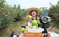 With Chinese consumers buying anything from clothes to makeup to garlic online, livestreaming has become an essential marketing platform for farmers