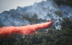 More than a 1,000 firefighters battled the flames overnight