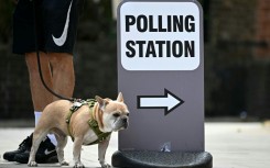 A dog stands by a polling station sign in Hackney, east London, on July 4, 2024 when Britain held its last general elections