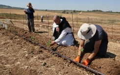 Latrun's monks are Trappists, a Catholic order centred on contemplation and simplicity