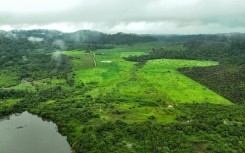 This aerial view shows a degraded area of the Amazon rainforest, near the Koatinemo indigenous land, in Para state, Brazil