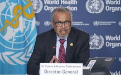 WHO chief says 'large proportion' of Gaza's people 'starving'