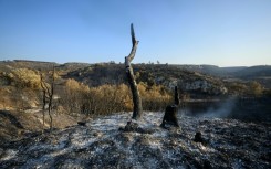 About 2,000 people evacuated were allowed to return home