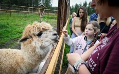 Despite the crackdown on dissent, activists opposed to the highway have sought to appeal to President Vladimir Putin to help their cause