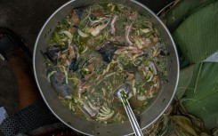 Congolese intellectuals are angry that a French dictionary has failed to capture the full meaning of liboke