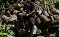 Burning wood remains the cheapest source of energy for the ylang-ylang distillation process, with 250 kilogrammes needed to produce one litre of essential oil