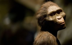 One sculptor made a rendering based on the remains of the hominid Australopithecus afarensis -- Lucy -- who was found in Ethiopia and rarely leaves the African state