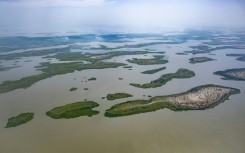 The Boko Haram jihadist group has been active in the Lake Chad basin for around 15 years