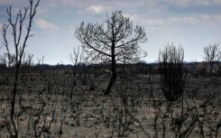 The August heatwave exacerbated tinderbox conditions that have fuelled deadly wildfires