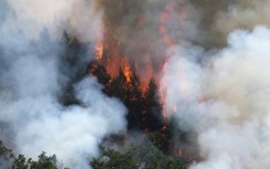 As of Tuesday, there were still 15 active wildfires burning in Spain