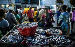 Fishermen wait for customers at the Kasimedu harbour in Chennai