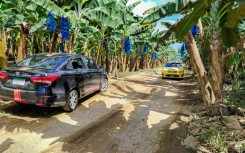 Chiquita closed its Changuinola plant in the Caribbean province of Bocas del Toro at the end of May and laid off 6,000 workers after a strike over pension reforms that crippled production for weeks