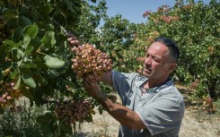 Thanasis Lakkos, 53, says fellow producers fear they are "the last generation"