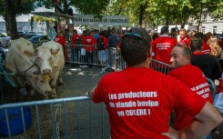 The EU's trade deal with South American bloc Mercosur has faced French-led opposition over agricultural concerns