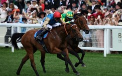 British racing authorities hope their historic decision to strike will persuade the government to backtrack on its plans to raise online betting tax