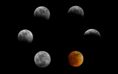 The cycle of the March 2025 eclipse seen from Colombia