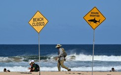 There have been more than 1,280 shark incidents around Australia since 1791, of which over 250 resulted in death, according to a database of the predators' encounters with humans