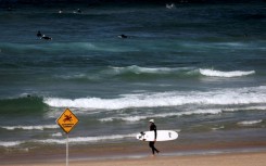 One day after a deadly shark attack in Sydney, surfers ride the waves at the city's Bondi Beach