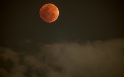Stargazers in Johannesburg were among those getting a clear view of the Blood Moon