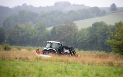 Austrian farmer Josef Hadler has observed that mowing less often allows wildlife to flourish