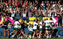 South Africa fans react to a try by their side against New Zealand