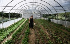 Anna Aivazidi says the EU farm subsidy scandal has affected real farmers in Greece