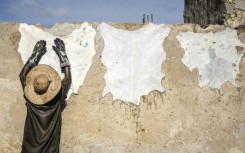 At the Majema traditional tannery in Kano, all the work is done by hand