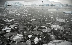 Ice floating on the surface of the sea in the western Antarctic peninsula in 2016