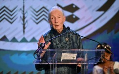Tributes poured in for Jane Goodall from across the conservation world