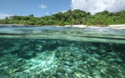 Seychelles has the highest wealth per capita in Africa -- around $18,000 according to the World Bank -- but is vulnerable to climate change