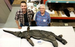 The newly identified reptile is about the size of a dolphin
