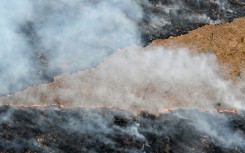 Globally, deforestation is driven overwhelmingly by the expansion of agriculture.