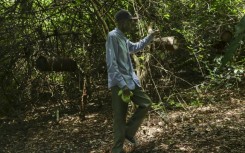 Locals fear the loss of forest livelihoods and resources