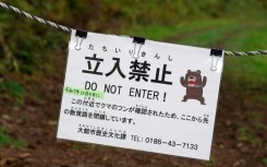 Last year, the government added bears to the list of animals subject to population control, reversing protection that had helped bears thrive