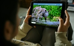 Vantara holds tens of thousands of animals, including some of the world's most endangered species