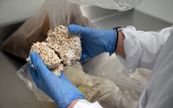 Belgian start-up Permafungi is pitching mushroom-based packaging as a fully biodegradable alternative to polystyrene and other plastic