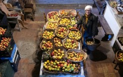 Older varieties are more resilient to the challenges posed by a changing climate in a hotspot region for global warming