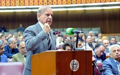 Pakistan's parliament approved a sweeping constitutional amendment granting lifetime immunity to the president as well as the current army chief