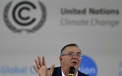 TotalEnergies CEO Patrick Pouyanne is one of the few oil executives at COP30