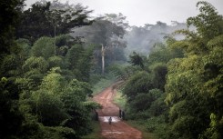 Forests store huge amounts of carbon dioxide, and protecting them prevents the planet-warming gas from being released.