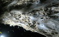 The web was discovered in a cave on the border of Greece and Albania