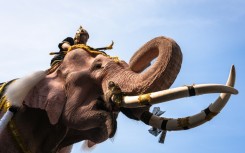 Eleven mahout-mounted pink painted elephants marched through Bangkok on Thursday, bowing in union outside the Grand Palace in a lumbering tribute to the late queen mother
