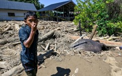 An endangered Sumatran elephant was buried in mud and debris left by floods in Meureudu near the north coast of Indonesia's Aceh province