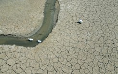 The planet is on track to log its second hottest year on record in 2025, tied with 2023