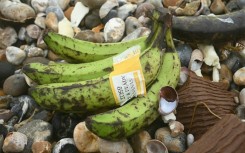 People help clean up hundreds of rotten bananas washed ashore in southern England