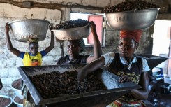 Women rely on making a living from shea at the Chigata cooperative near Korhogo
