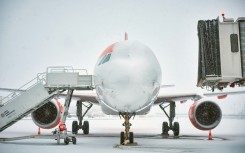 Dozens of flights were cancelled at Paris Orly, the French capital's second busiest aiport